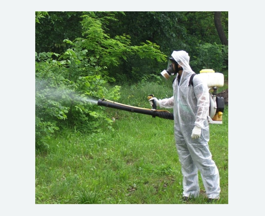 обработка территории от клещей в Мариинске