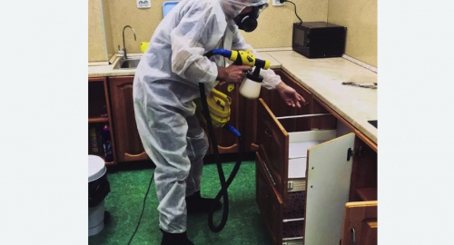 Уничтожение насекомых в квартире. Мариинск