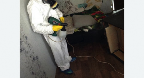 Обработка квартир от насекомых в Мариинске