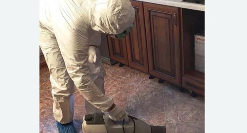 Уничтожение тараканов в квартире. Мариинск
