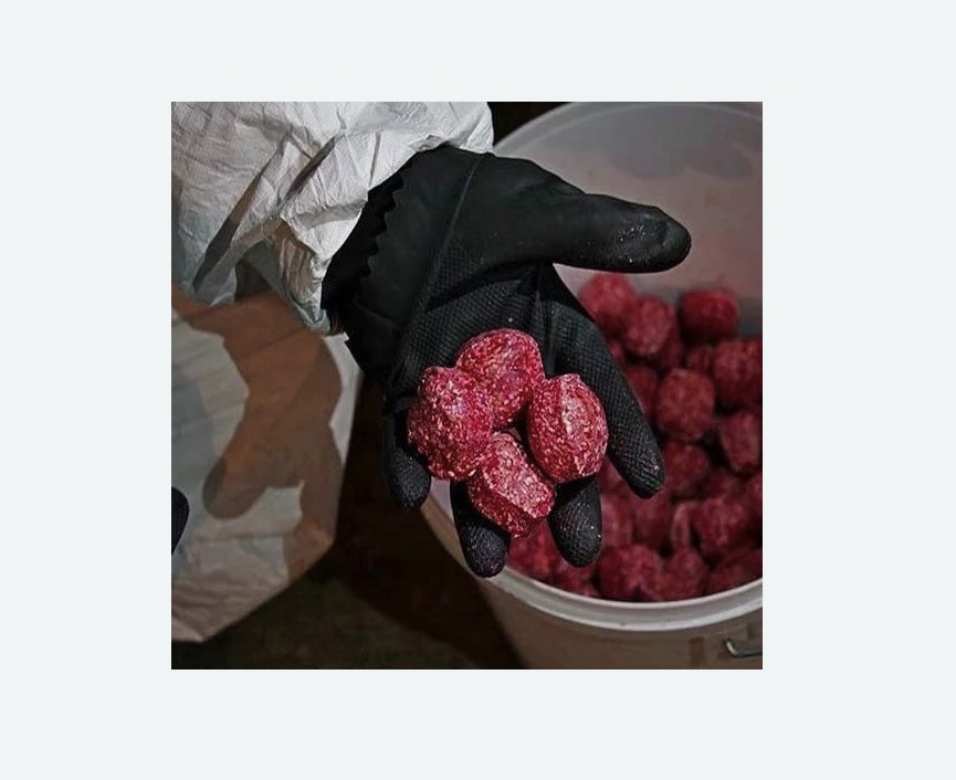 Обработка от крыс в Мариинске