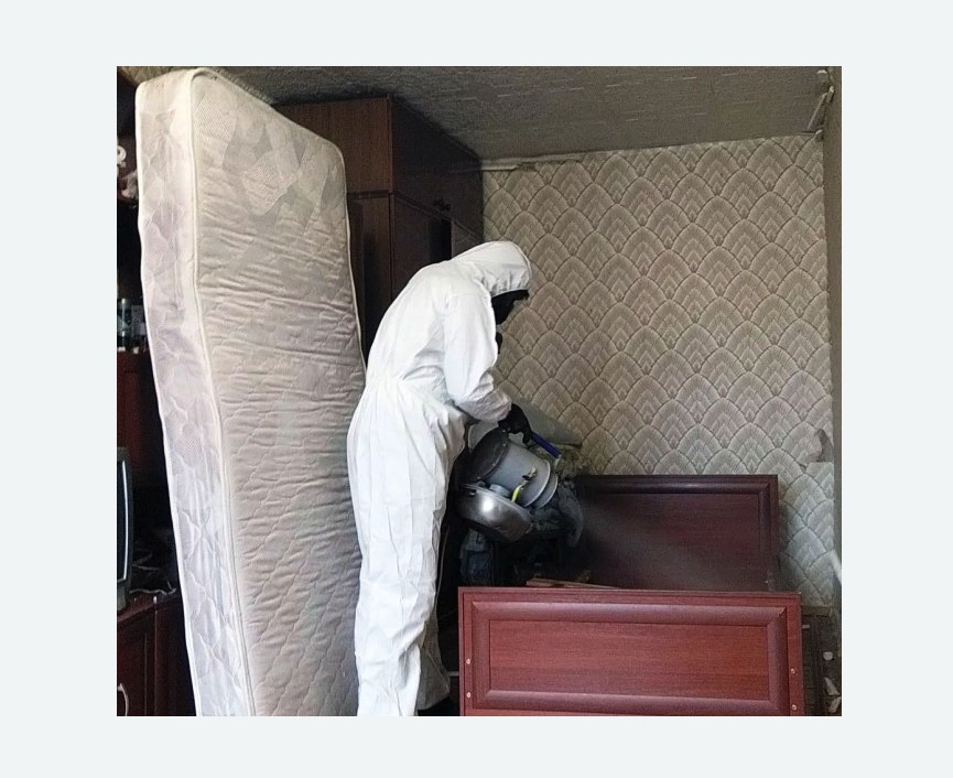 дезинфекция от клопов в Мариинске