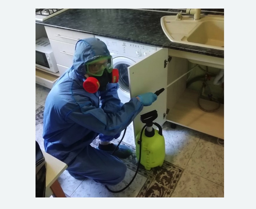 обработка от муравьев в квартире в Мариинске