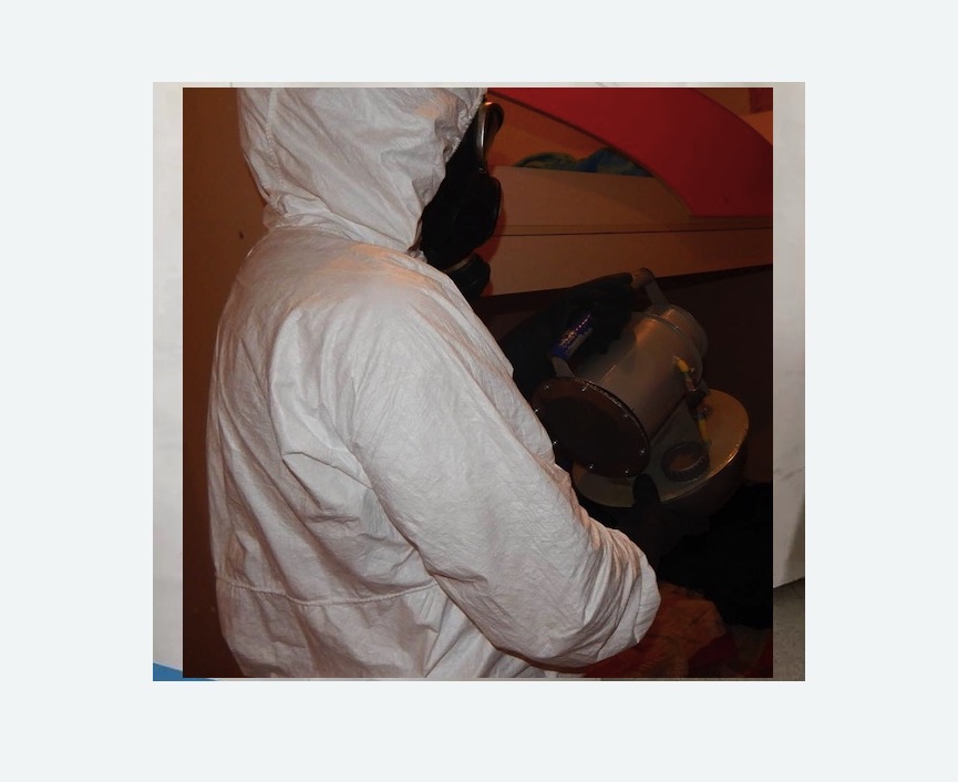 Дезинфекция от муравьев в Мариинске