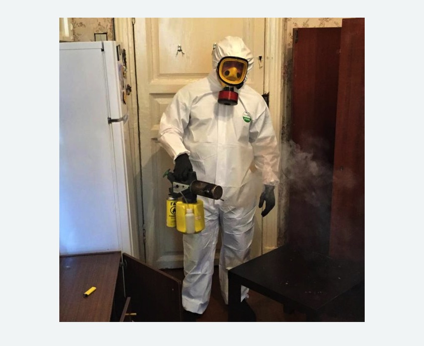 уничтожение муравьев в квартире в Мариинске